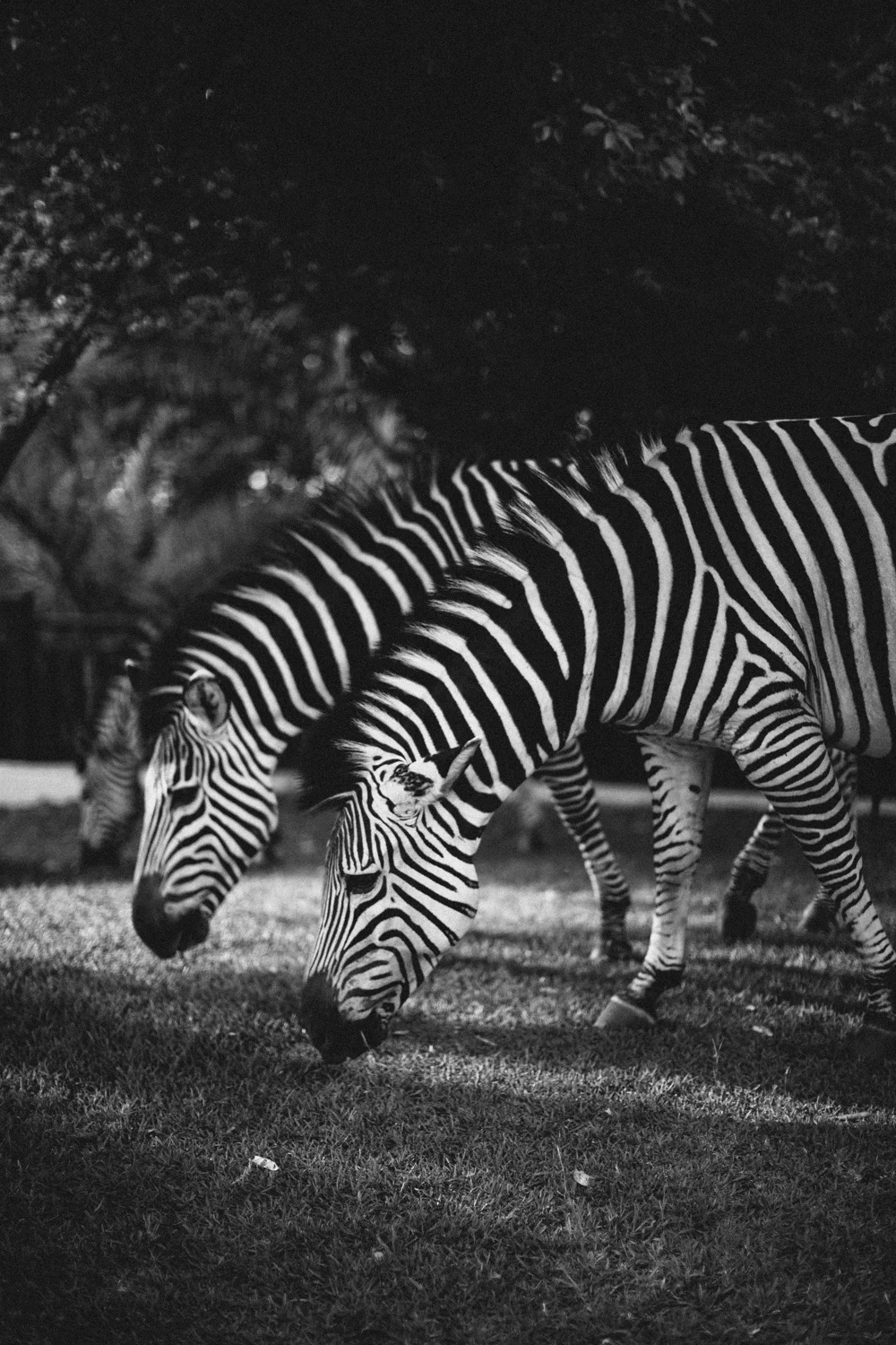 MichaelLiedtke_Zambia036.JPG