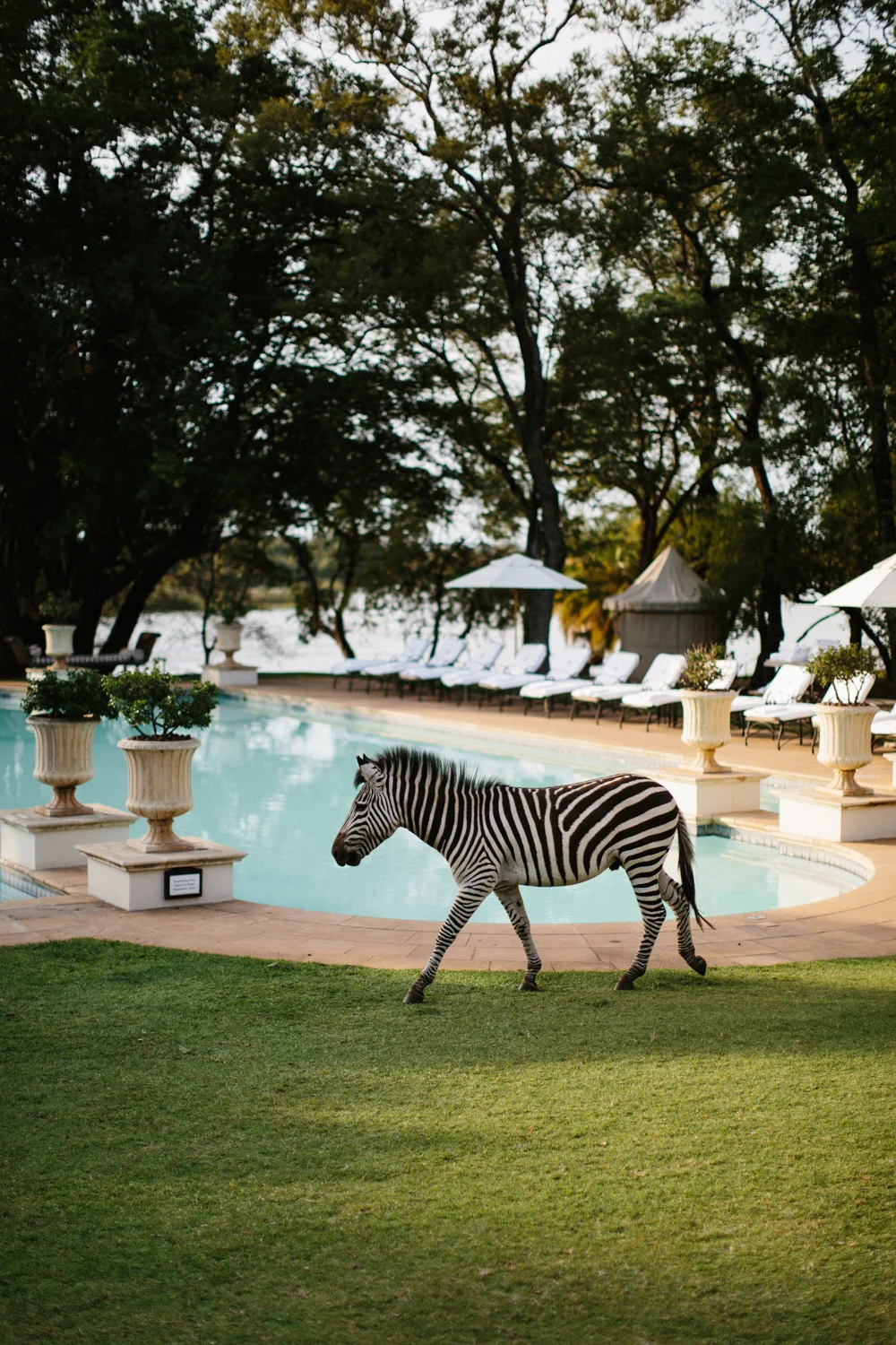 MichaelLiedtke_Zambia037.JPG