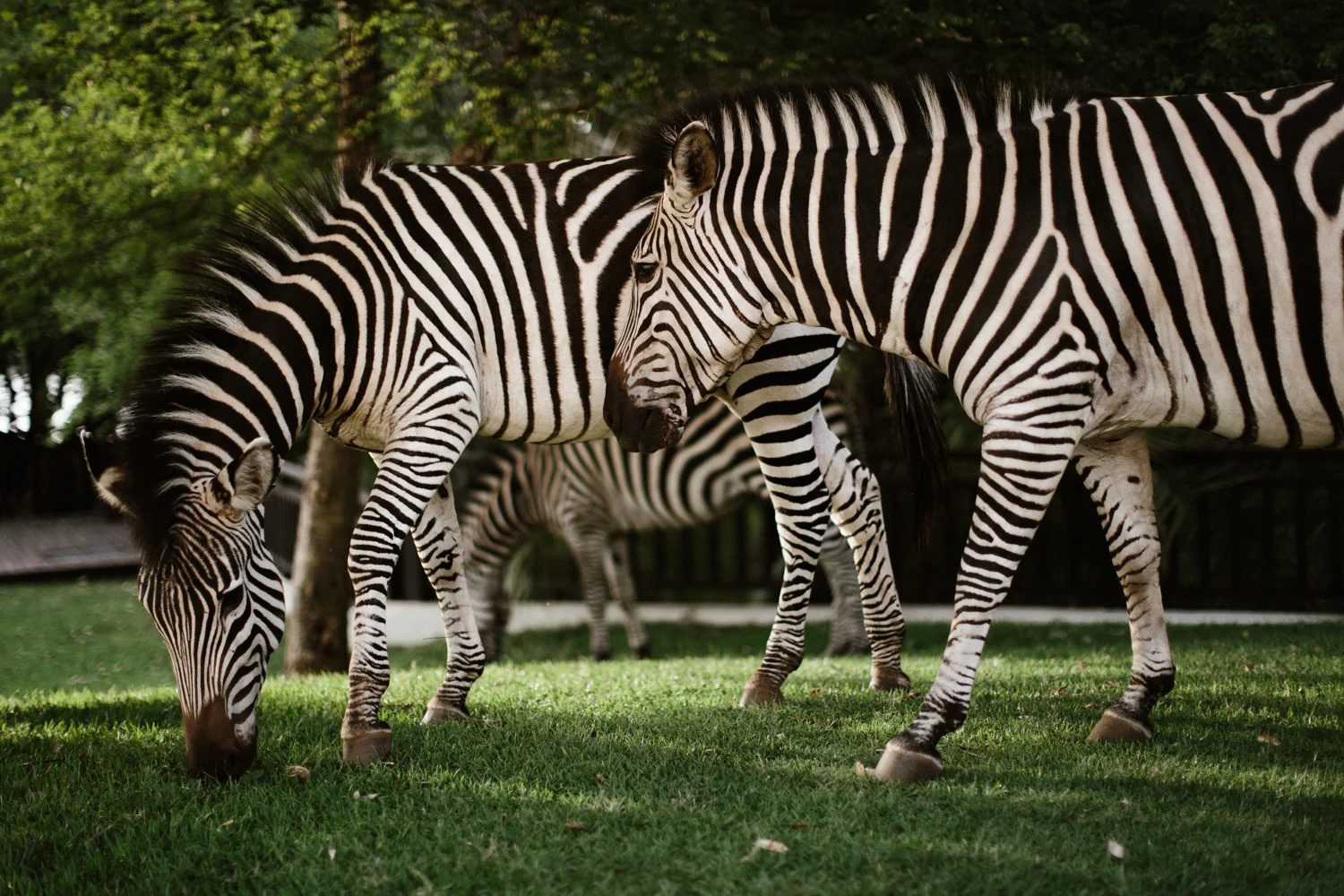 MichaelLiedtke_Zambia038.JPG
