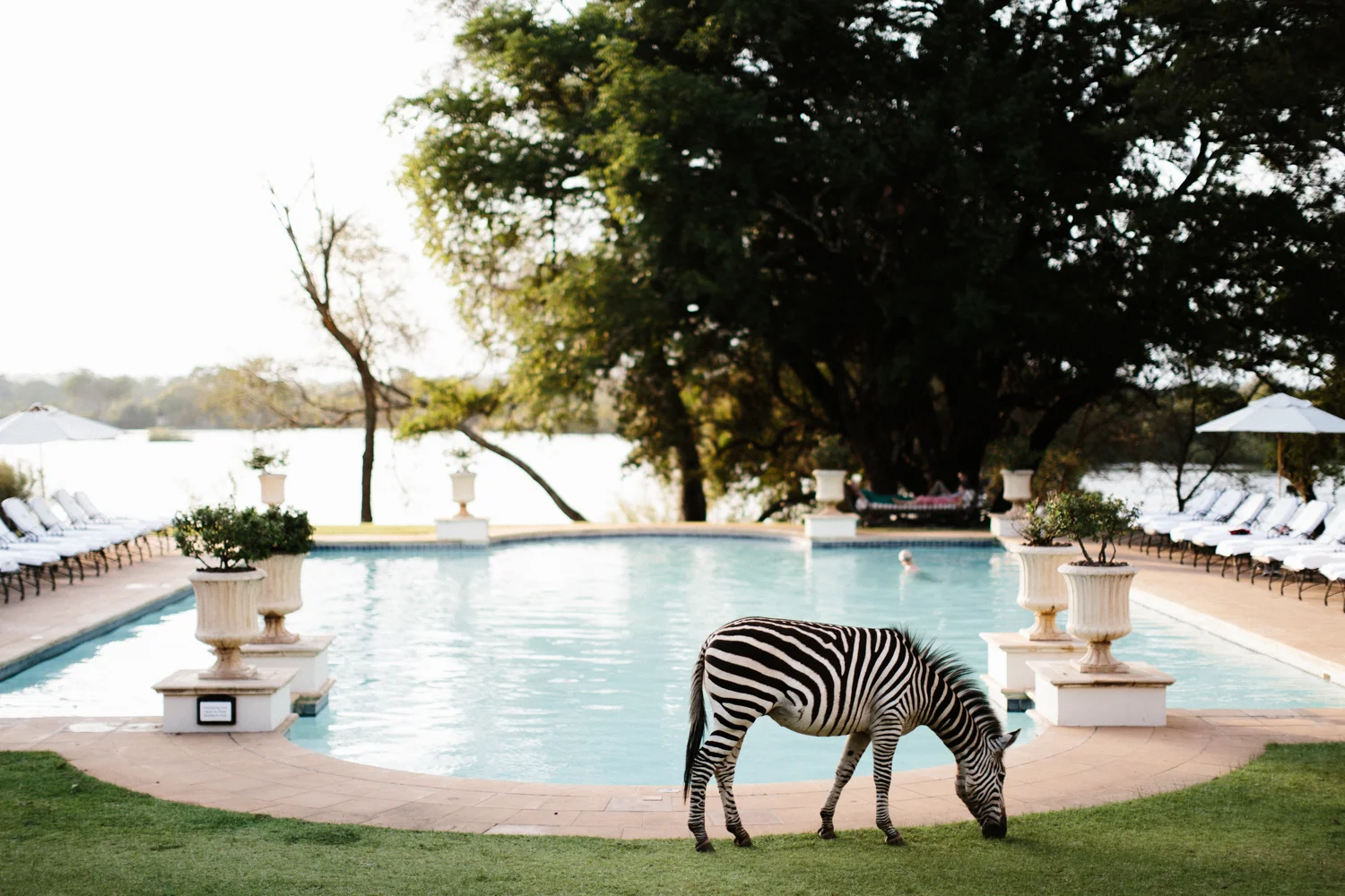 MichaelLiedtke_Zambia039.JPG