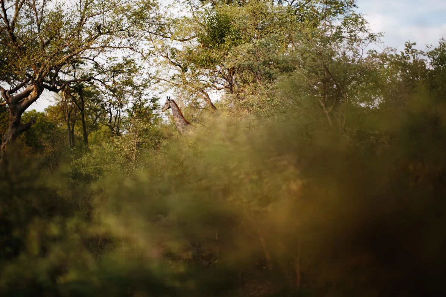 MichaelLiedtke_Zambia041.JPG