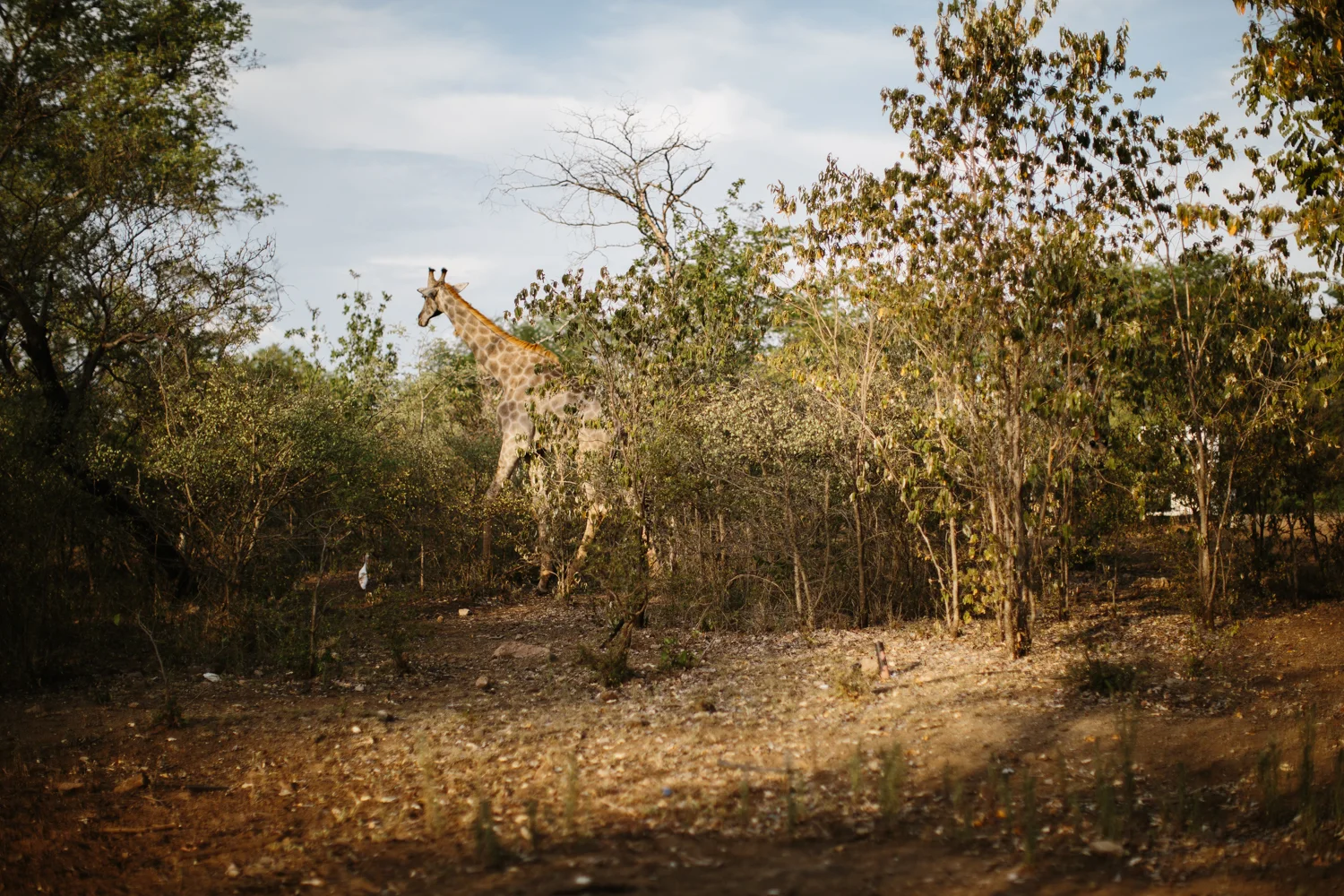 MichaelLiedtke_Zambia042.JPG