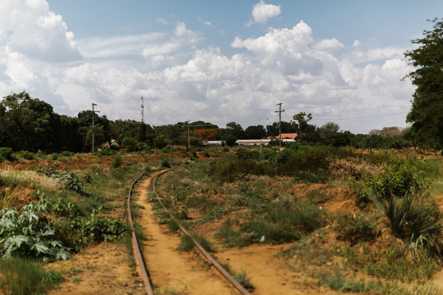 MichaelLiedtke_Zambia050.JPG