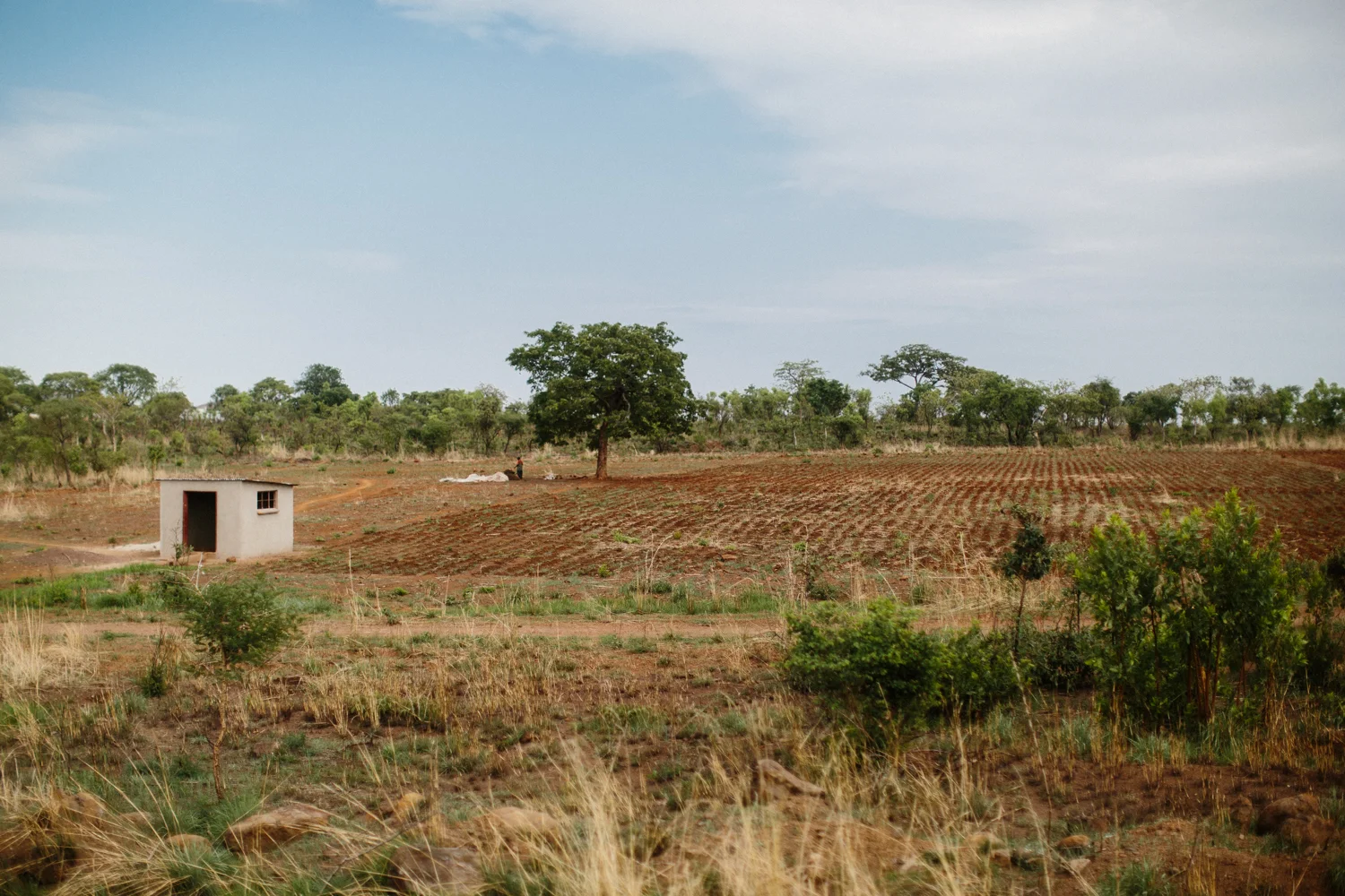 MichaelLiedtke_Zambia064.JPG