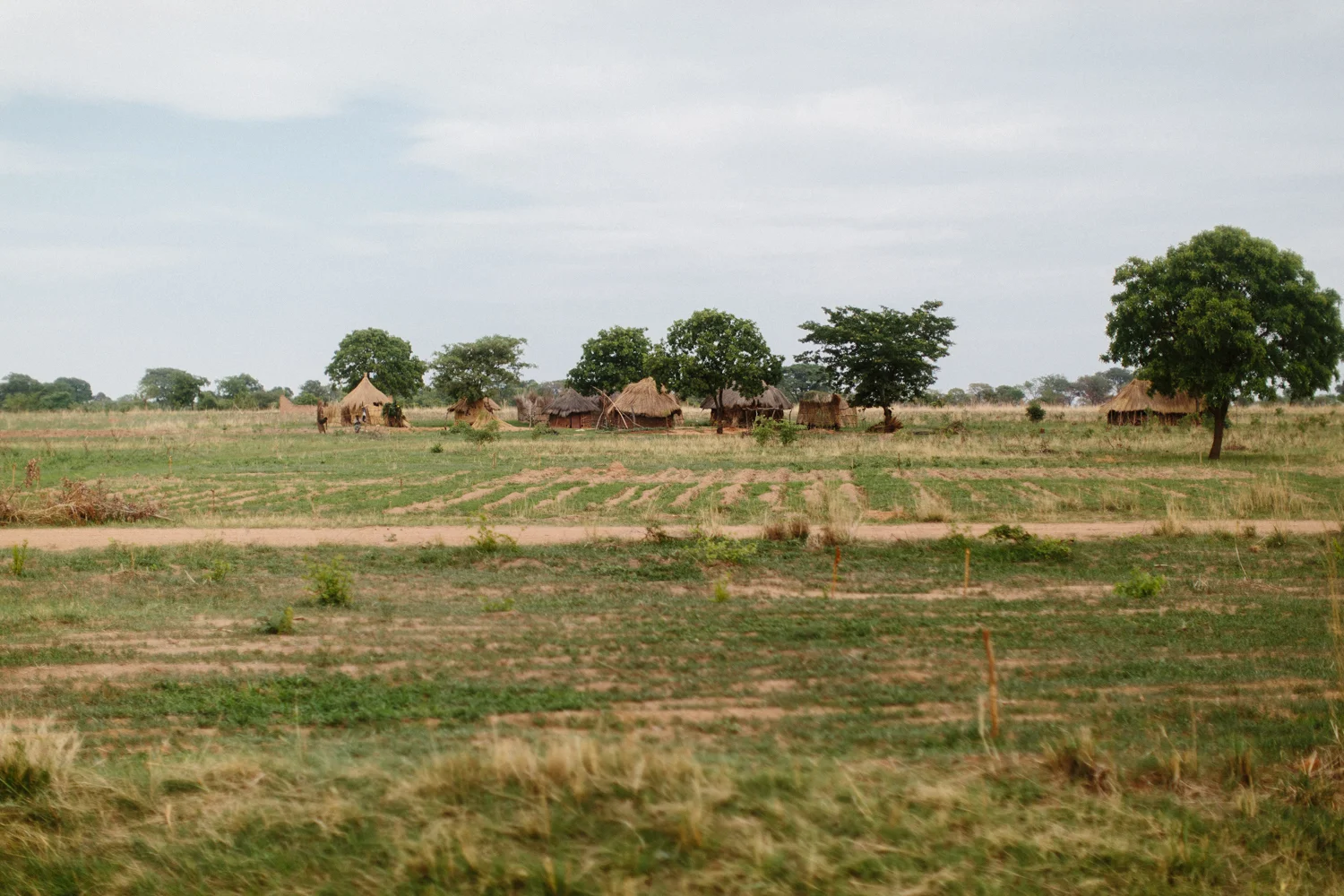 MichaelLiedtke_Zambia065.JPG