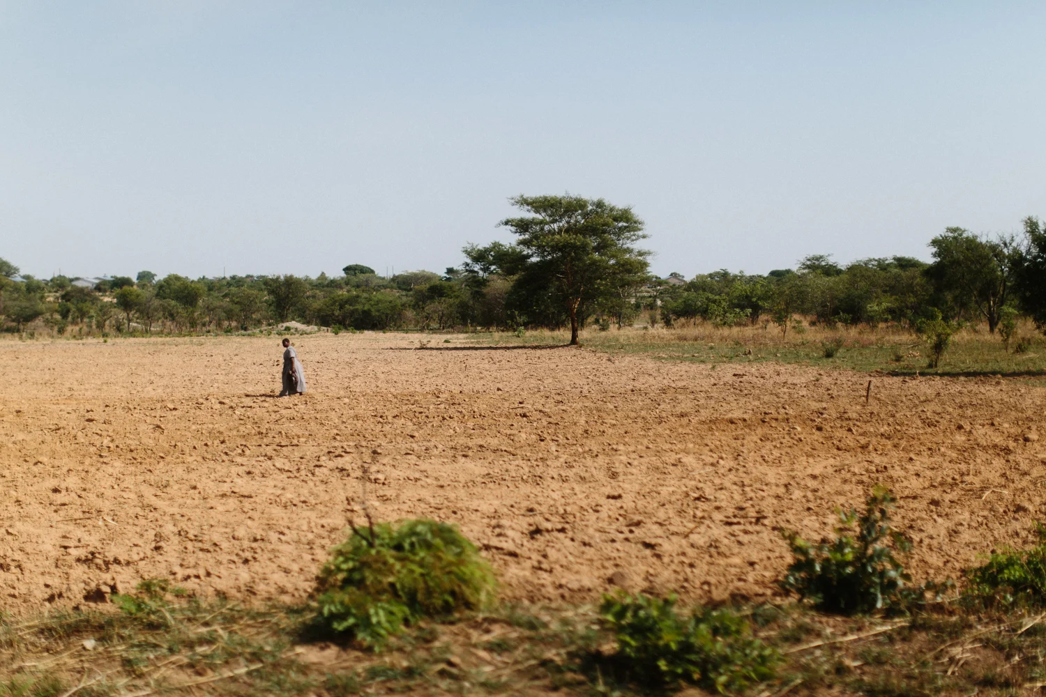 MichaelLiedtke_Zambia068.JPG