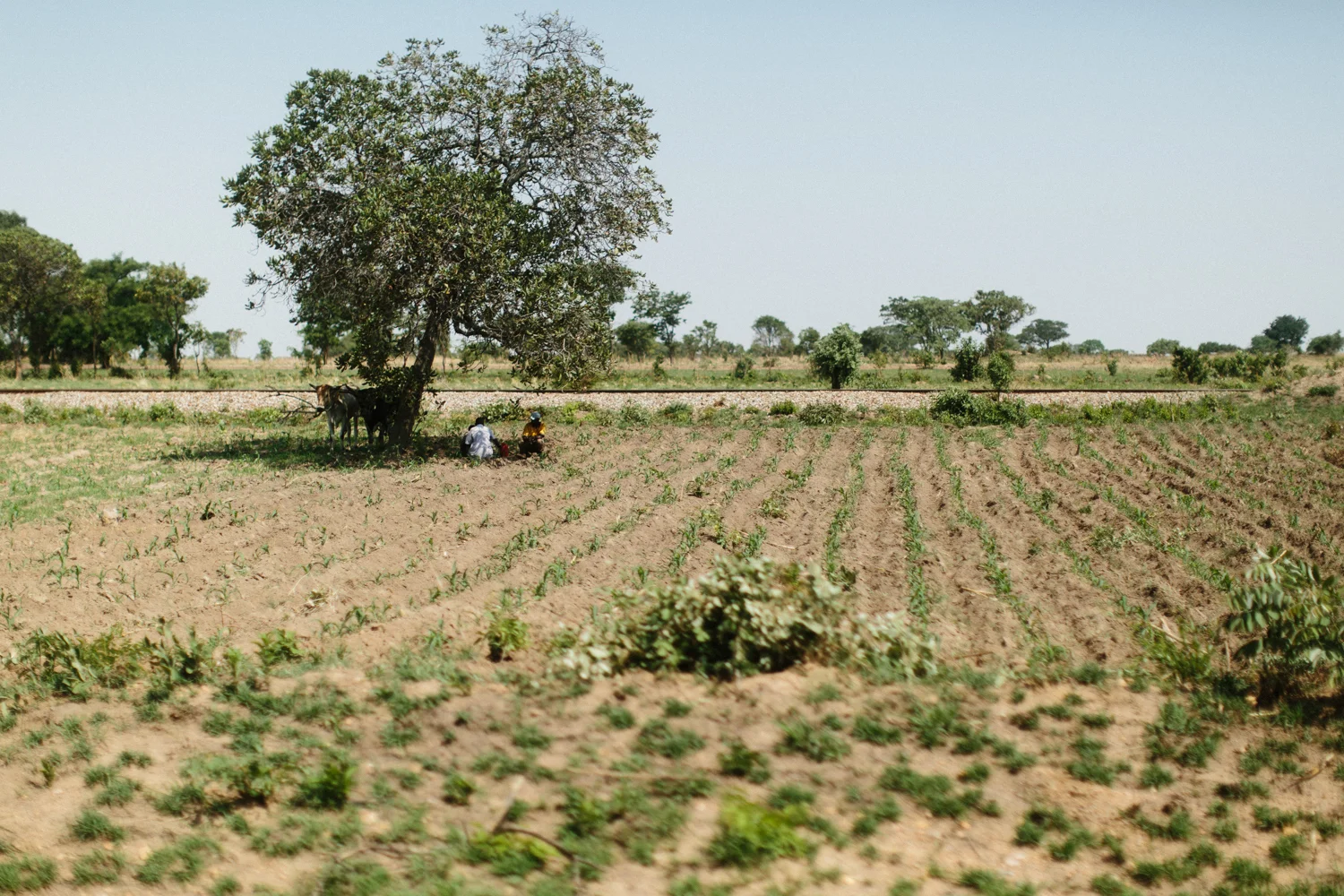 MichaelLiedtke_Zambia072.JPG