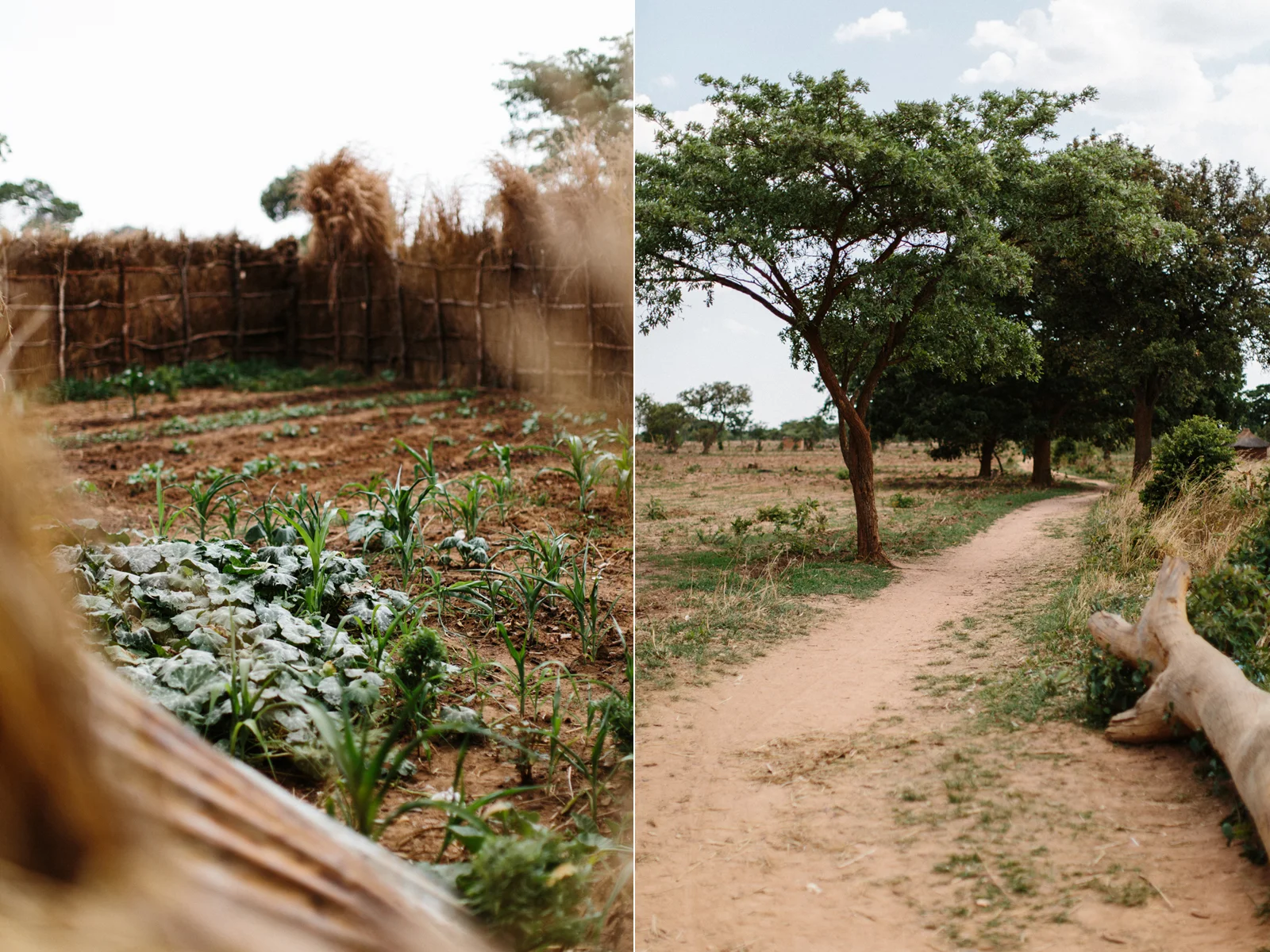 MichaelLiedtke_Zambia084.JPG