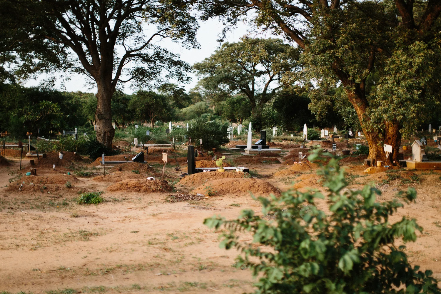 MichaelLiedtke_Zambia121.JPG