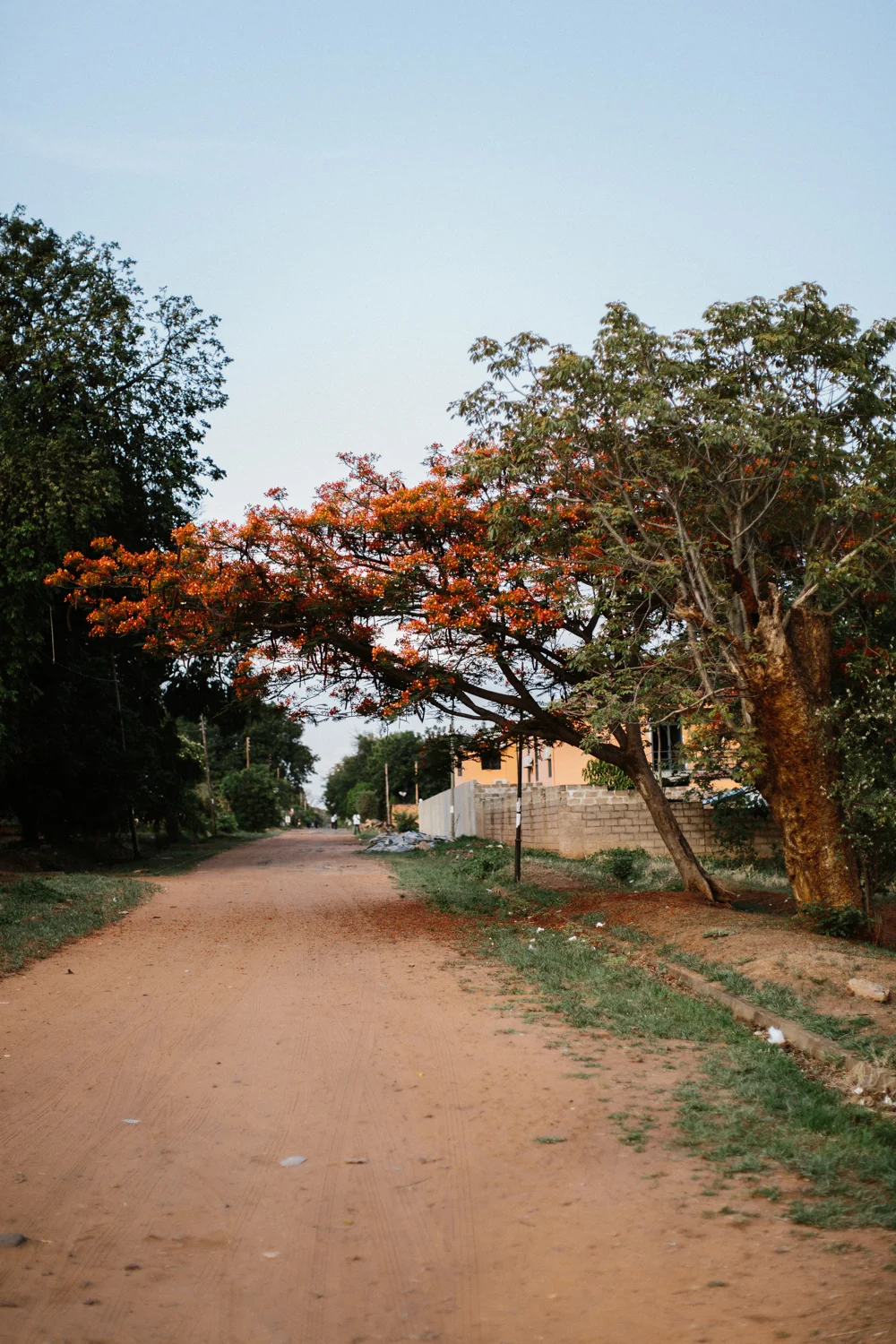 MichaelLiedtke_Zambia122.JPG