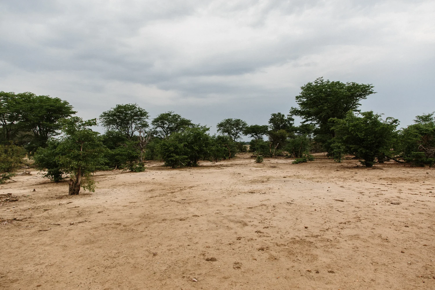 MichaelLiedtke_Zambia146.JPG