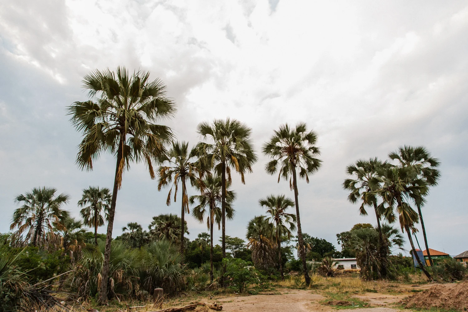 MichaelLiedtke_Zambia147.JPG