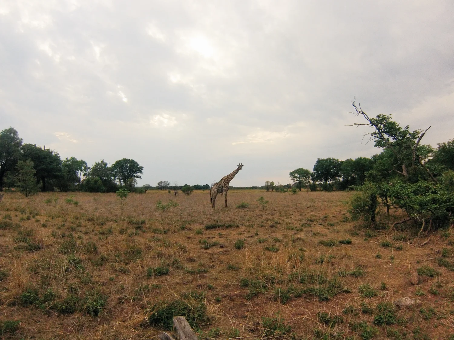 MichaelLiedtke_Zambia149.JPG