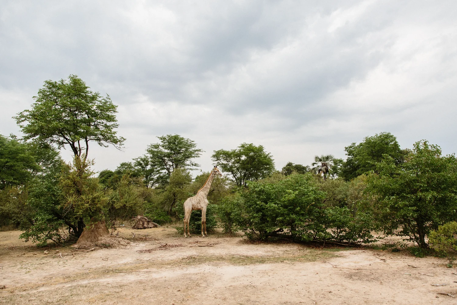 MichaelLiedtke_Zambia151.JPG