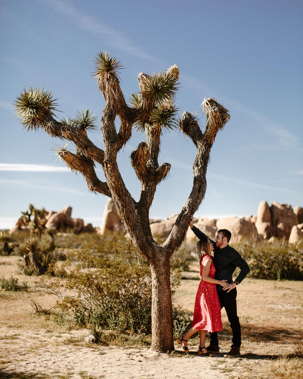 Joshua_Tree_Engagement_Wedding_Elopement_Photogapher_27.jpg