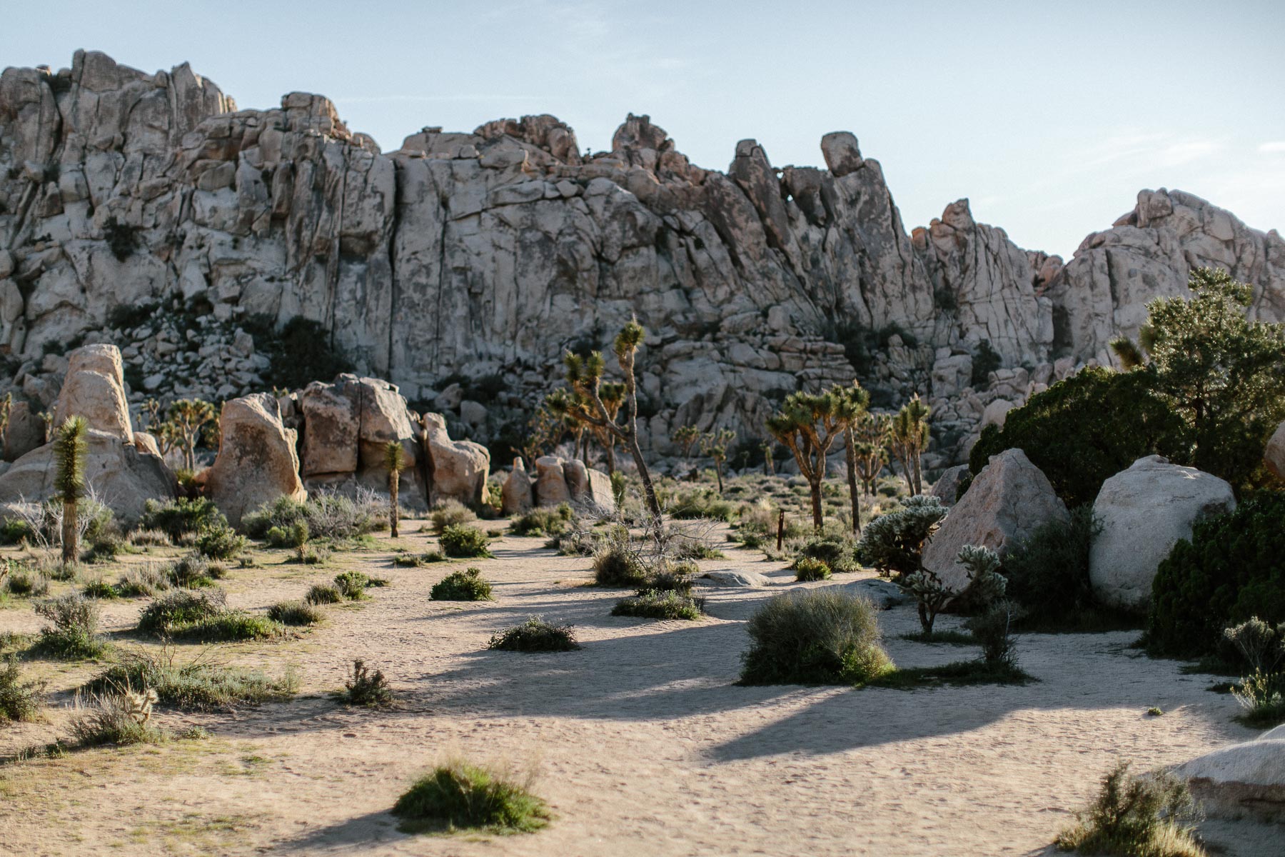 Joshua_Tree_Engagement_Wedding_Elopement_Photogapher_48.jpg