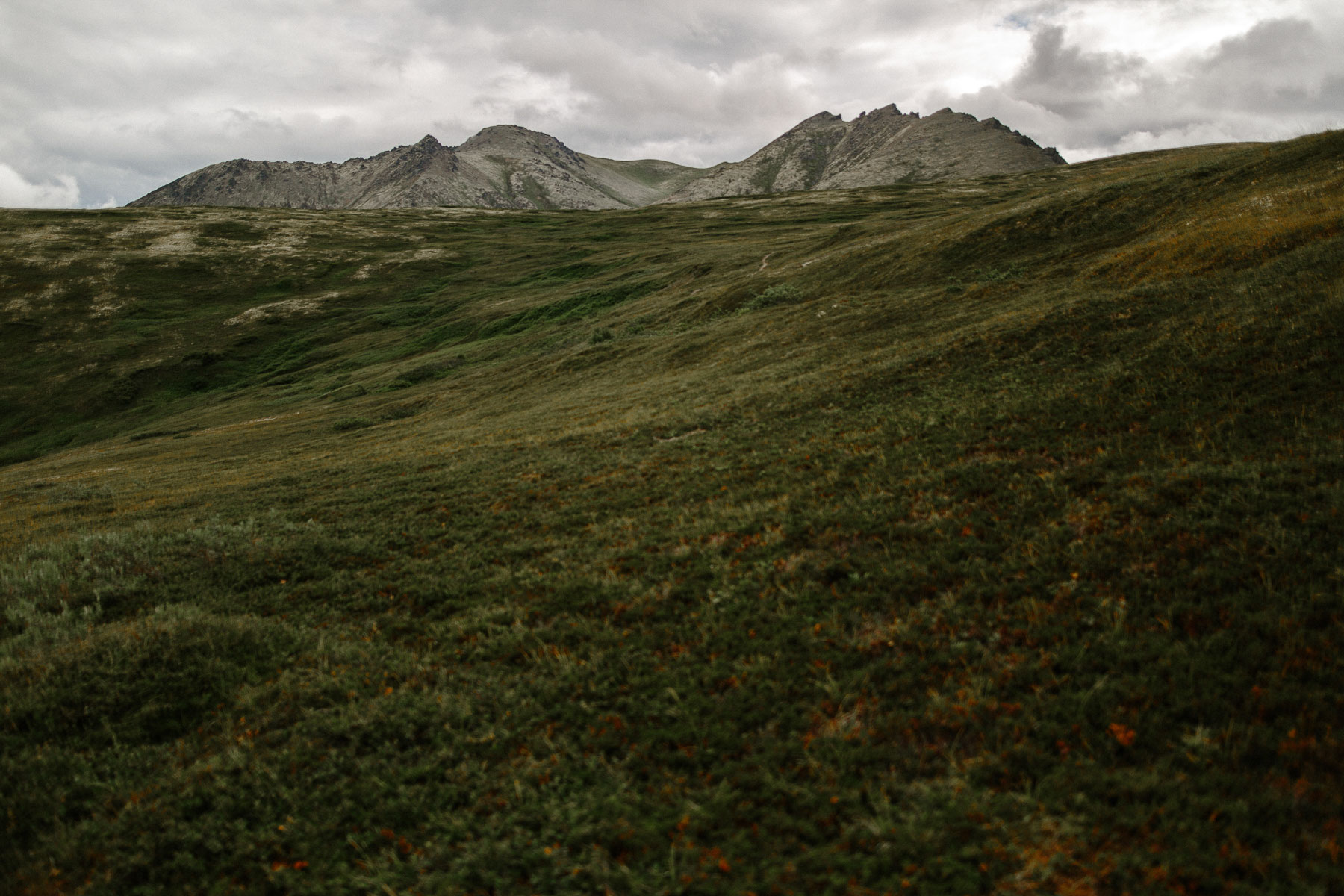 south-dakota-alaska-wedding-elopement-adventure-photographer-michael-liedtke-26.jpg