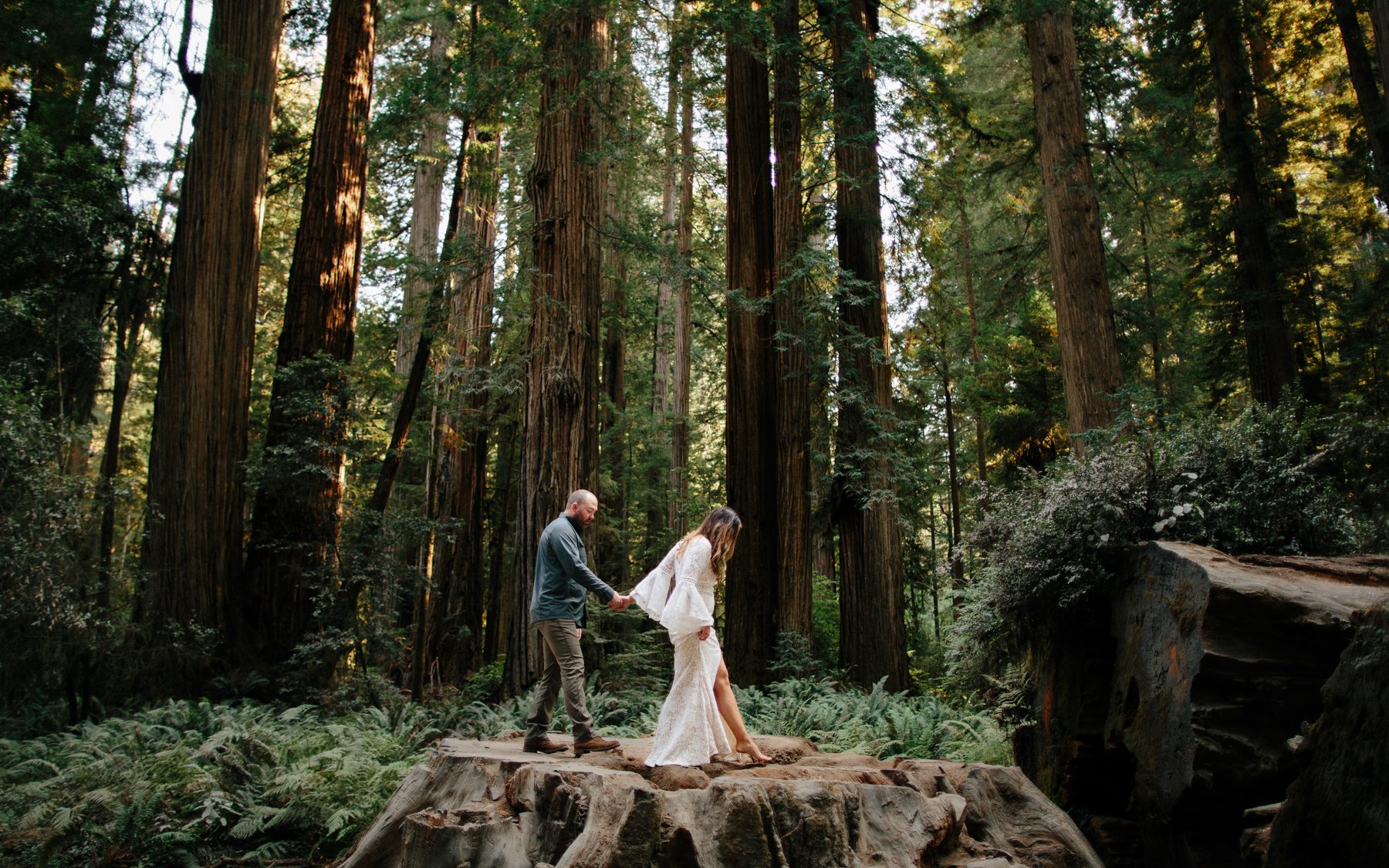 jedediah-smith-redwoods-southern-oregon-coast-wedding-elopement-photographer-michael-liedtke-005.jpg