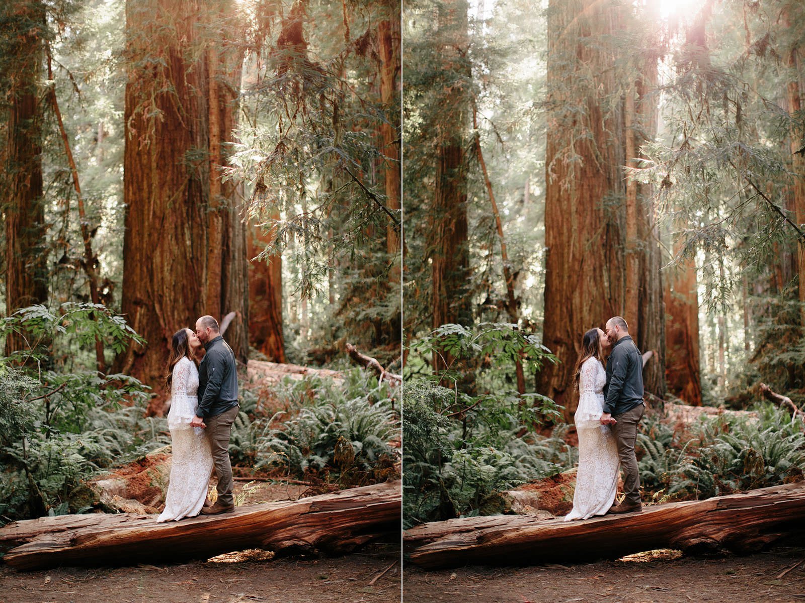 jedediah-smith-redwoods-southern-oregon-coast-wedding-elopement-photographer-michael-liedtke-008.jpg