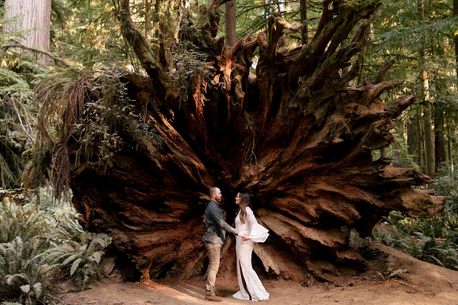 jedediah-smith-redwoods-southern-oregon-coast-wedding-elopement-photographer-michael-liedtke-017.jpg