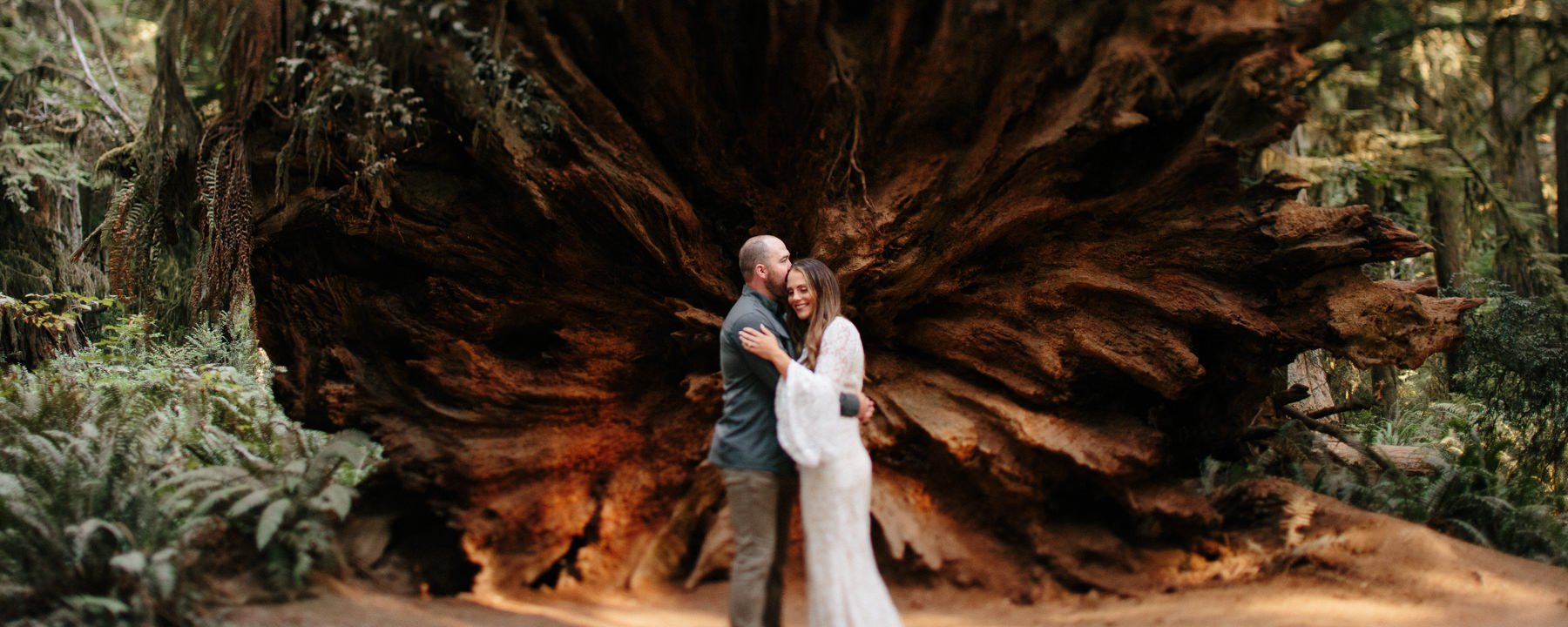 jedediah-smith-redwoods-southern-oregon-coast-wedding-elopement-photographer-michael-liedtke-020.jpg
