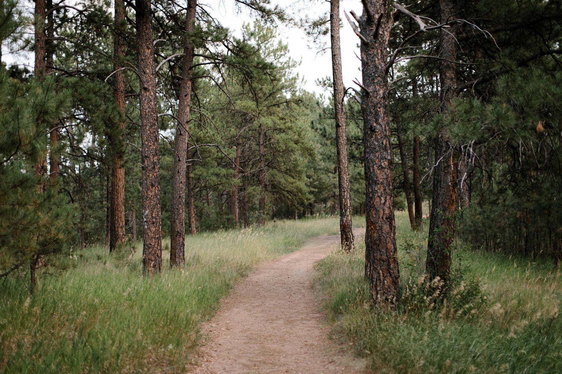 black-hills-wedding-elopement-photography-002.jpg