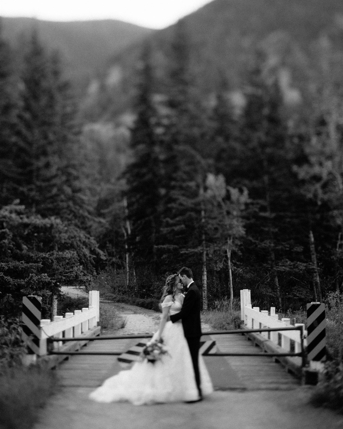 red-lodge-micro-wedding-beaertooth-mountains-31.JPG