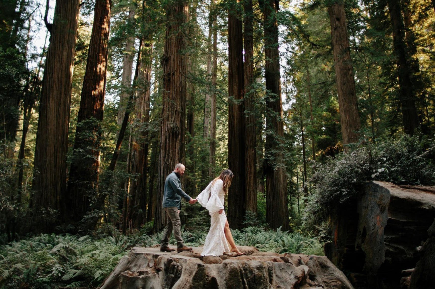 adenture-wedding-redwoods.jpg
