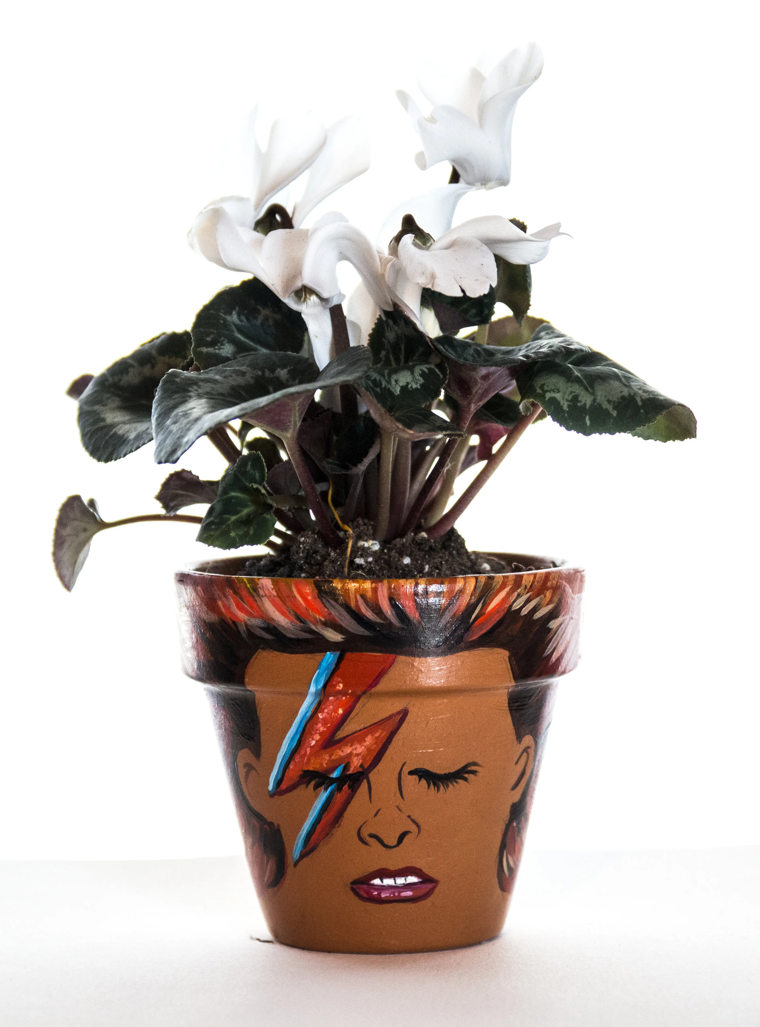 Bowie