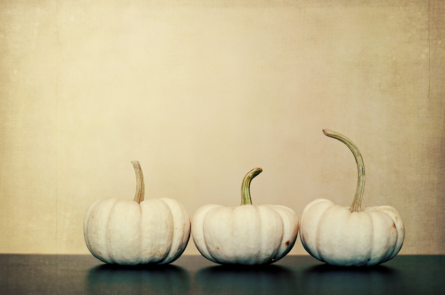 nelougrace_three_little_pumpkins.jpg