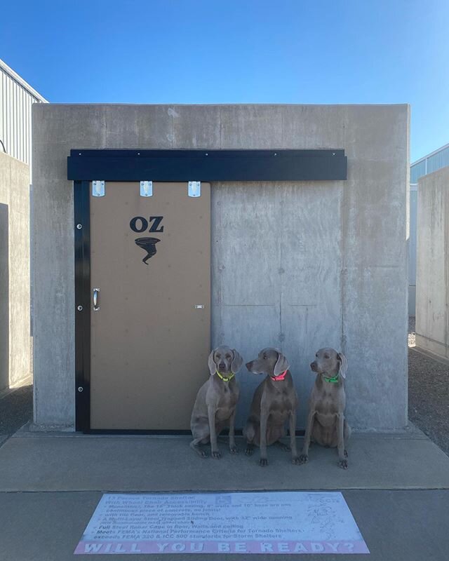 Three grey sisters approved! #okwx #ozsaferooms @ozsaferooms