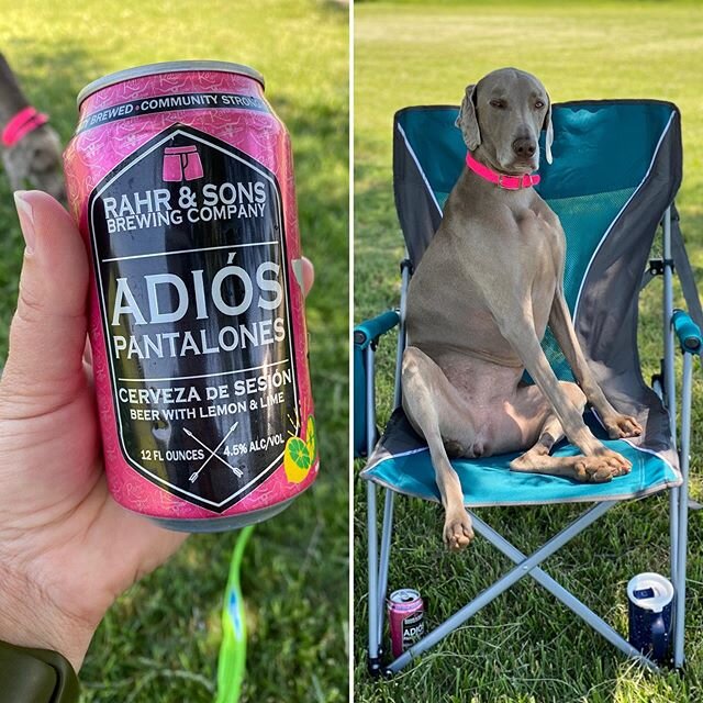 I don&rsquo;t always lose my pants, but when I do it&rsquo;s bc I&rsquo;ve been drinking Adi&oacute;s Pantalones 😏😎 #missedopportunity #likeaboss #queenbee #bestlife101 #bertabear #greysaftergrace #dogsarepeopletoo @rahrbrewing