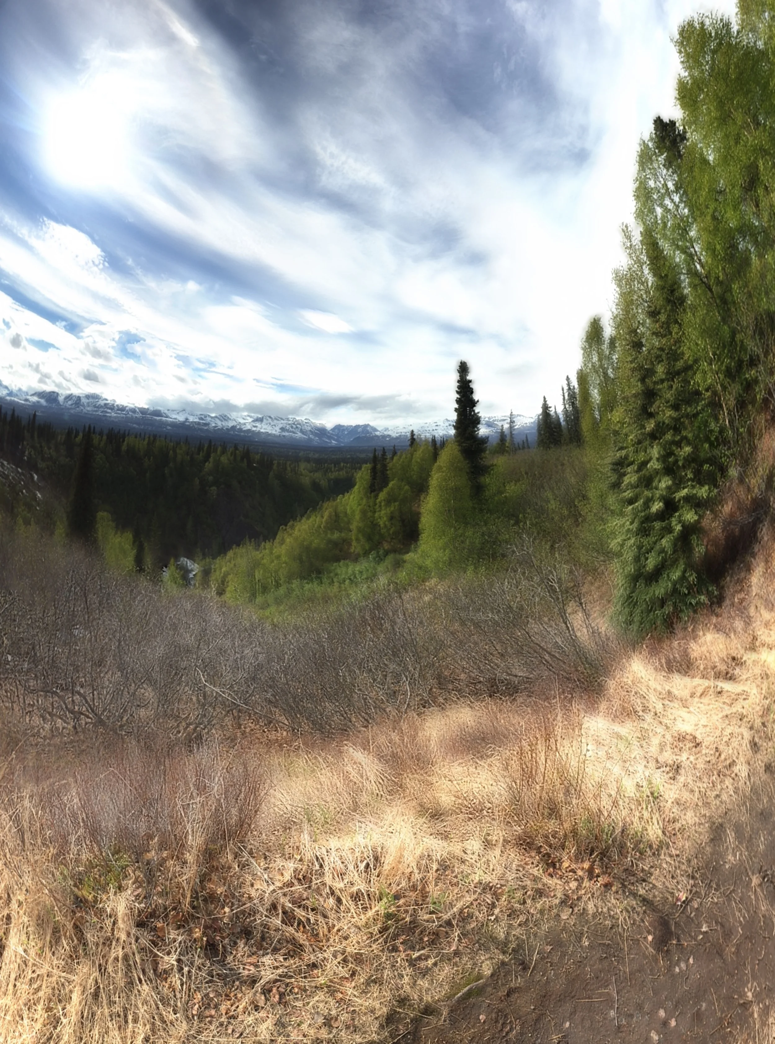 alaska1.jpg