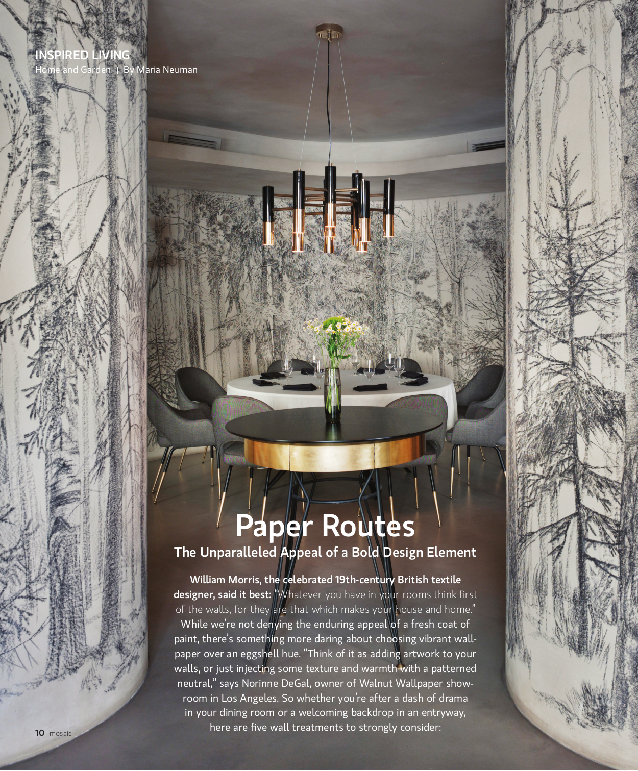 Mosaic Magazine: Paper Routes