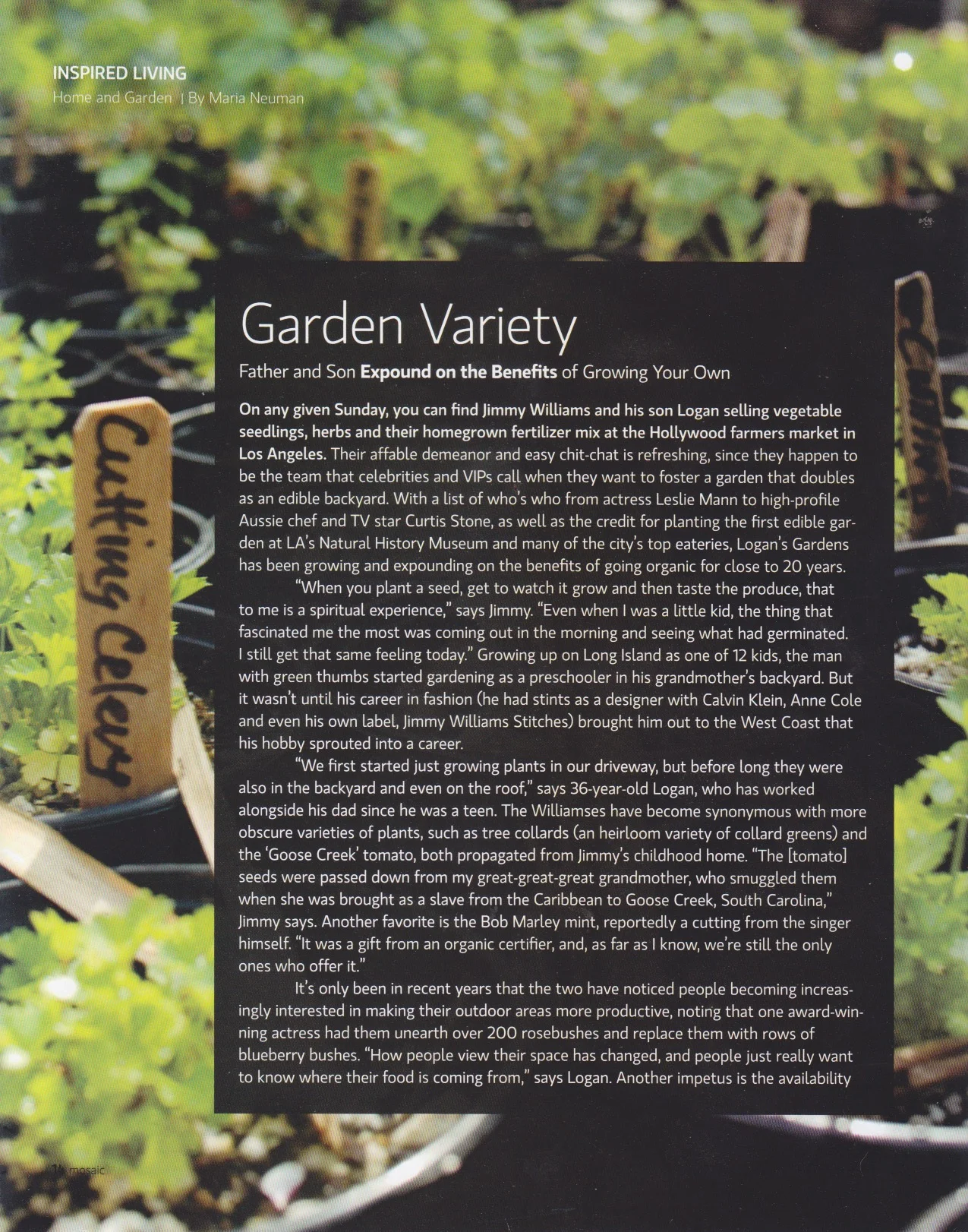 Mosaic Magazine: The Garden Variety