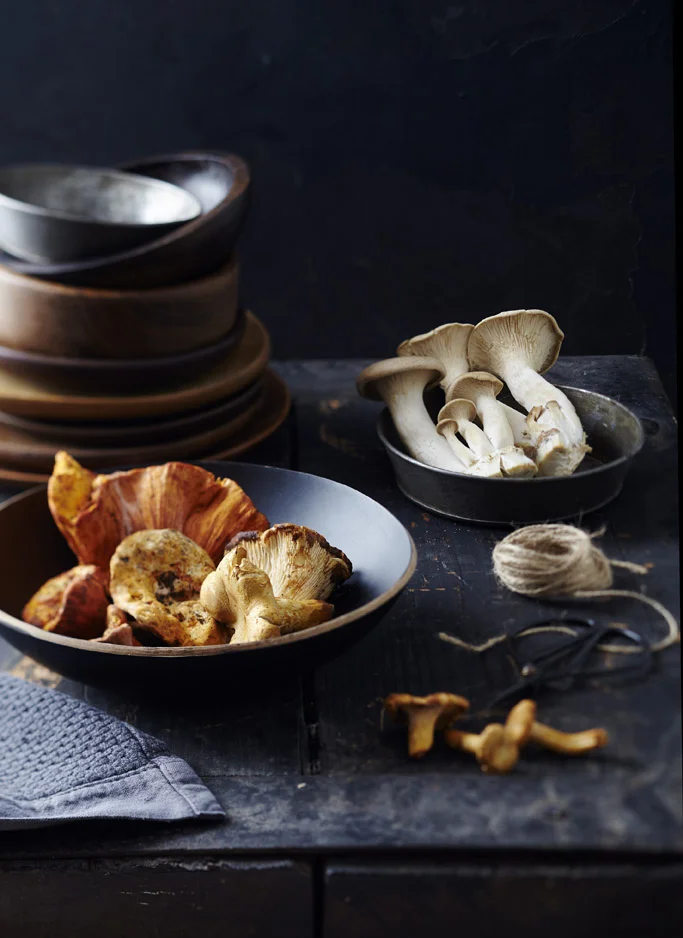 20150922_mushroomtest_100-crop.jpg