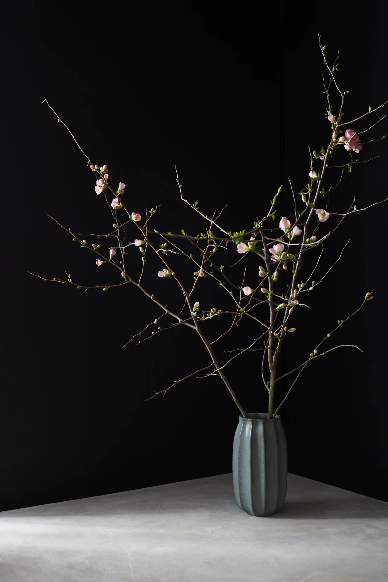 THEHANDMAIDEN_cherrybloss.jpg