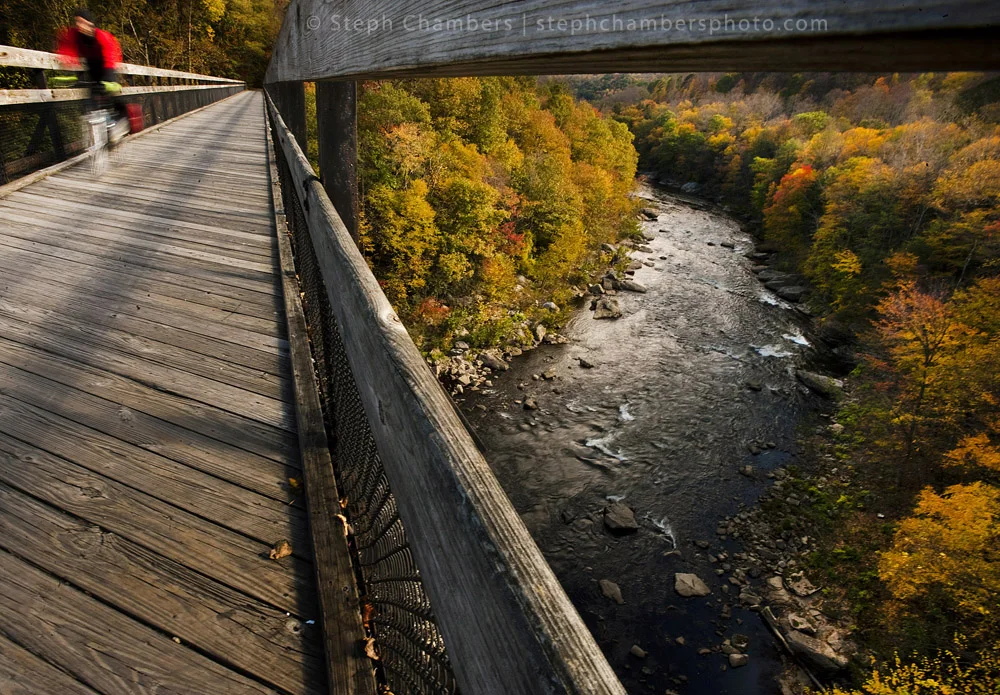 A biker rides along the Great Allegheny Passage over the Youghiogheny River and fall foliage in Ohiopyle State Park on Sunday, Oct. 18, 2015.