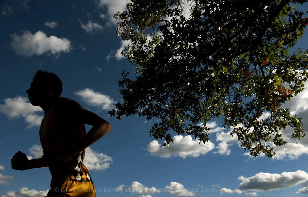 A Greensburg Salem runner races during the Westmoreland County Coaches Association cross country meet on Thursday, Oct. 15, 2015 at Westmoreland County Community College.