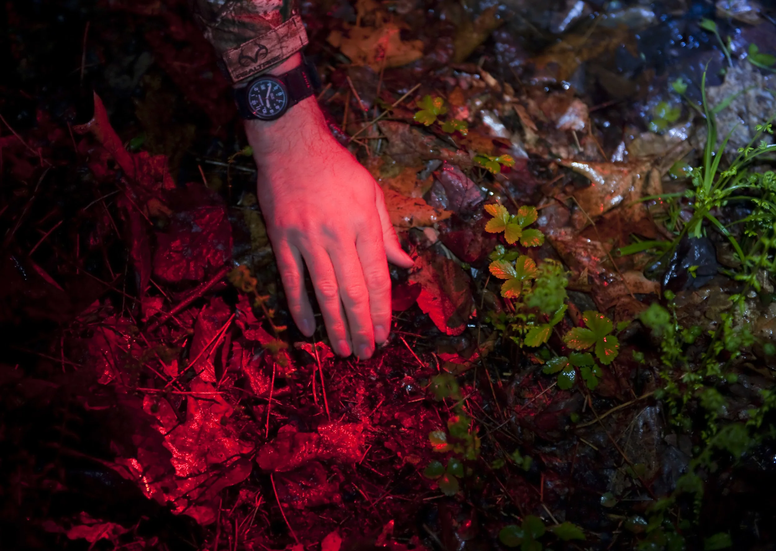 Ohio anomalous researcher and ParaNexus Executive Director Brian Parsons scans the forest floor for evidence while on a night research hike during the 2016 Pennsylvania Bigfoot Camping Adventure at Benner's Meadow Run campground near Farmington on Friday, May 6. The Farmington area has been known as a Bigfoot hotbed with numerous encounters reported by campers, hunters and locals.