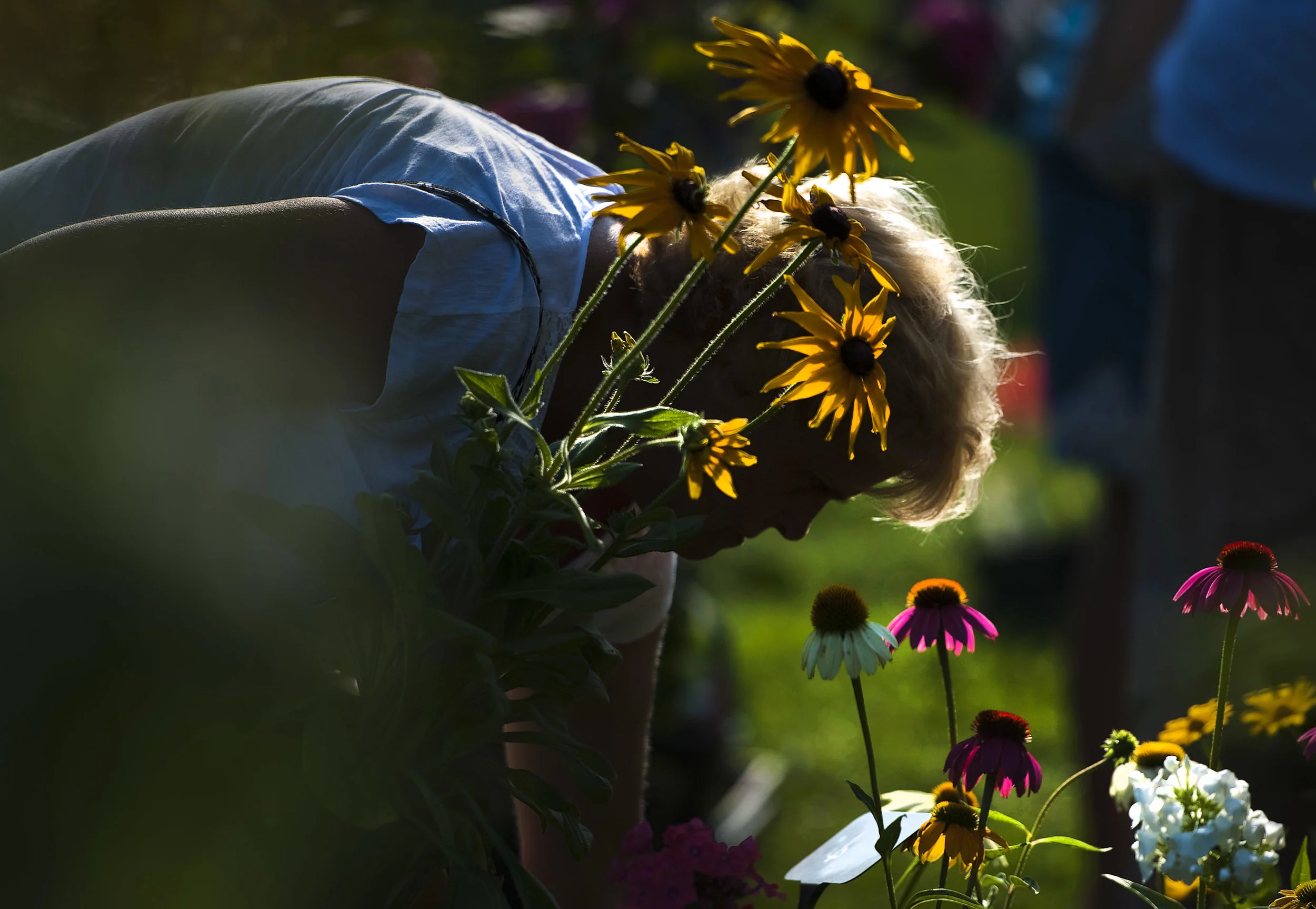 Carol Visnovsky of Johnstown selects a black-eyed susan while shopping the Lamb's Ear Farm booth during the Ligonier Country Market on Saturday, Aug. 20, 2016.