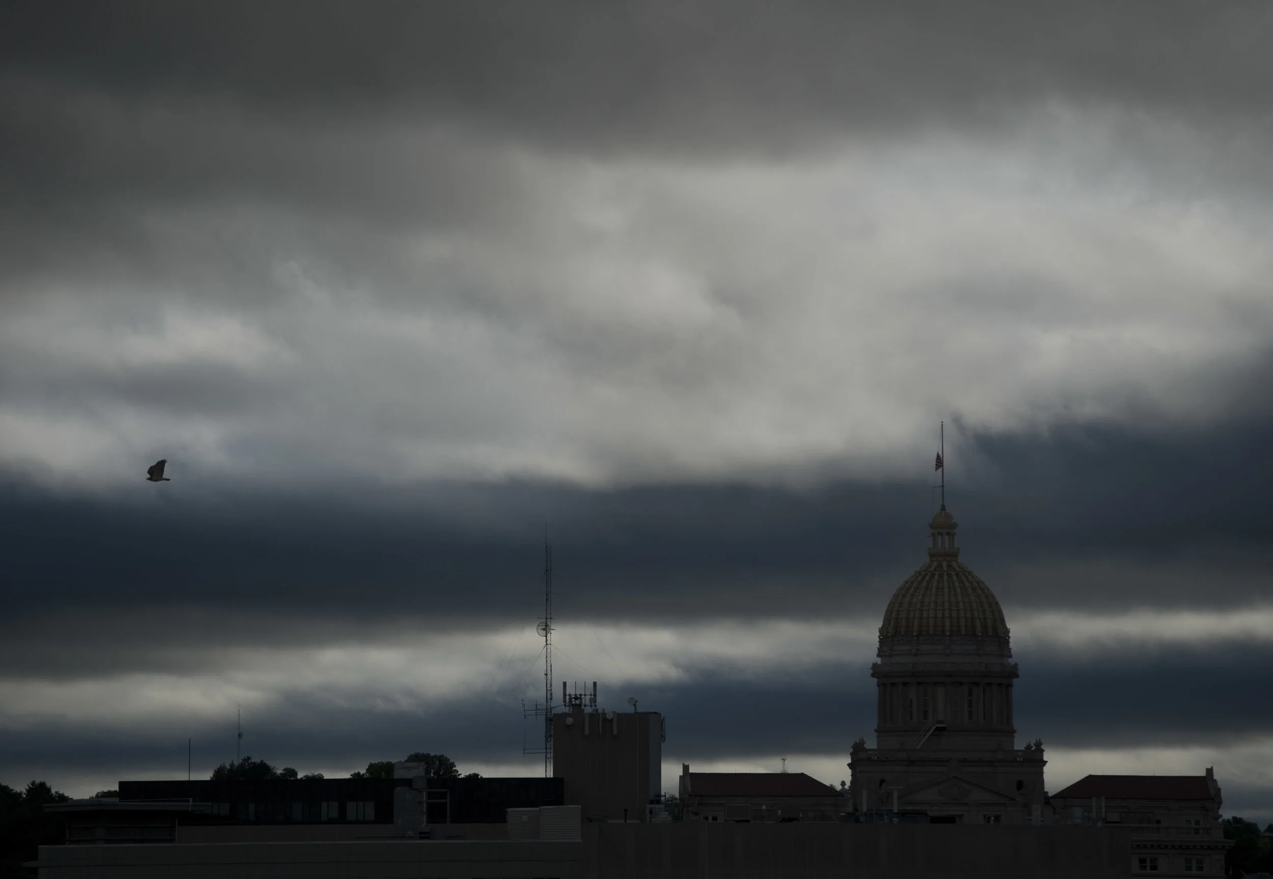 A bird hovers past the Westmoreland County Courthouse on a dreary morning Friday, Sept. 30, 2016 in Greensburg.