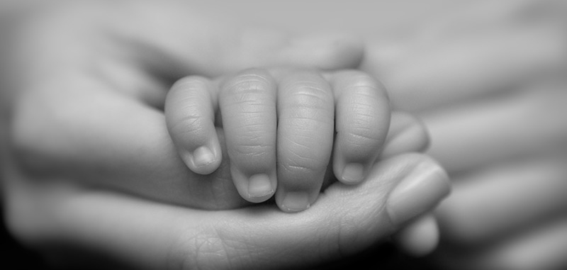 adoption1.jpg