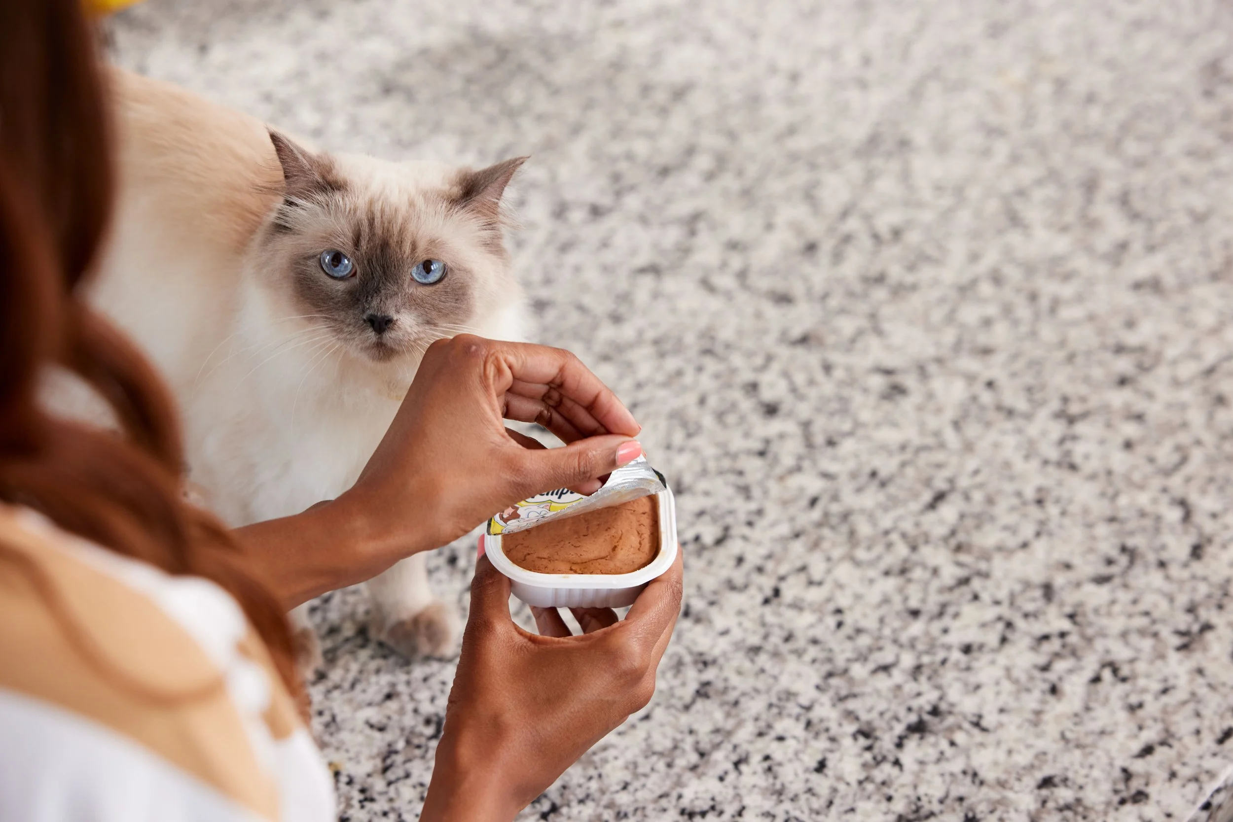 Mars _Temptations_Kitchen_Wetfood__0176.jpg