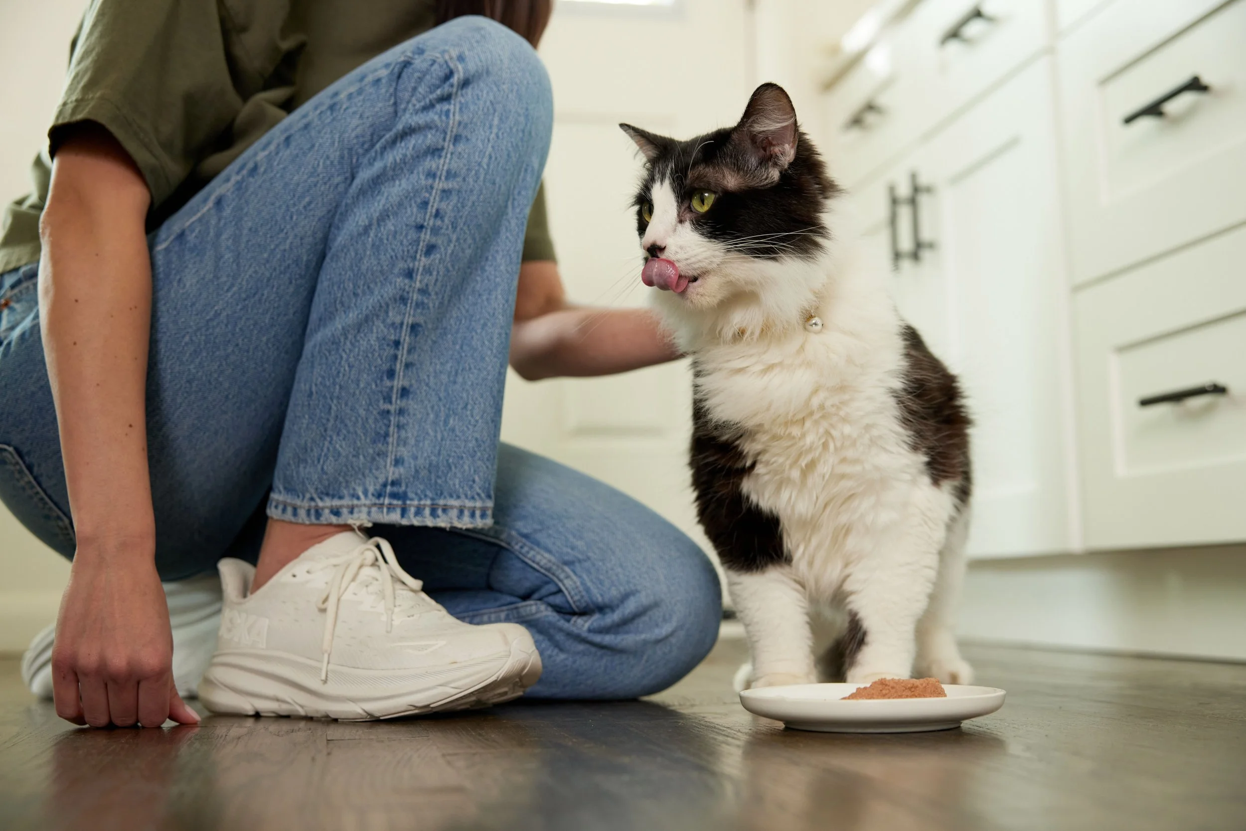 Mars _Temptations_Kitchen2_WetFood__0343.jpg