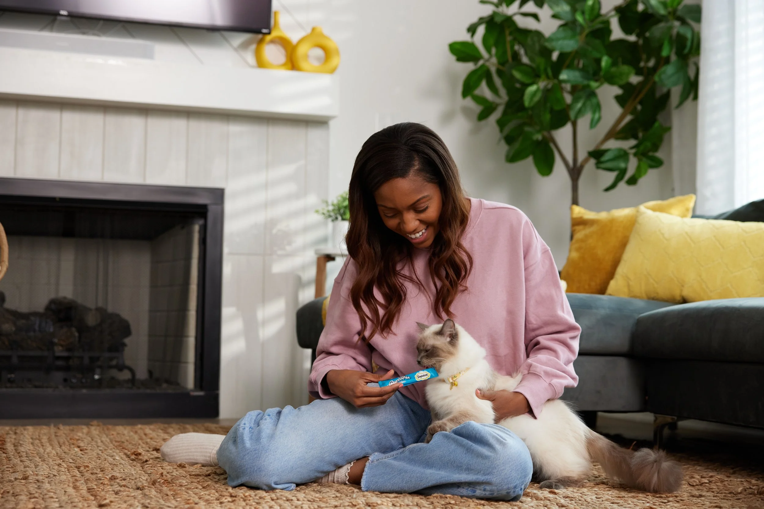 Mars _Temptations_Livingroom_PureeTreats__0288.jpg