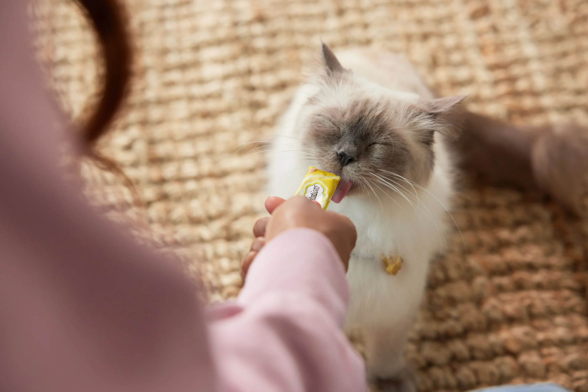 Mars _Temptations_Livingroom_PureeTreats__0830.jpg