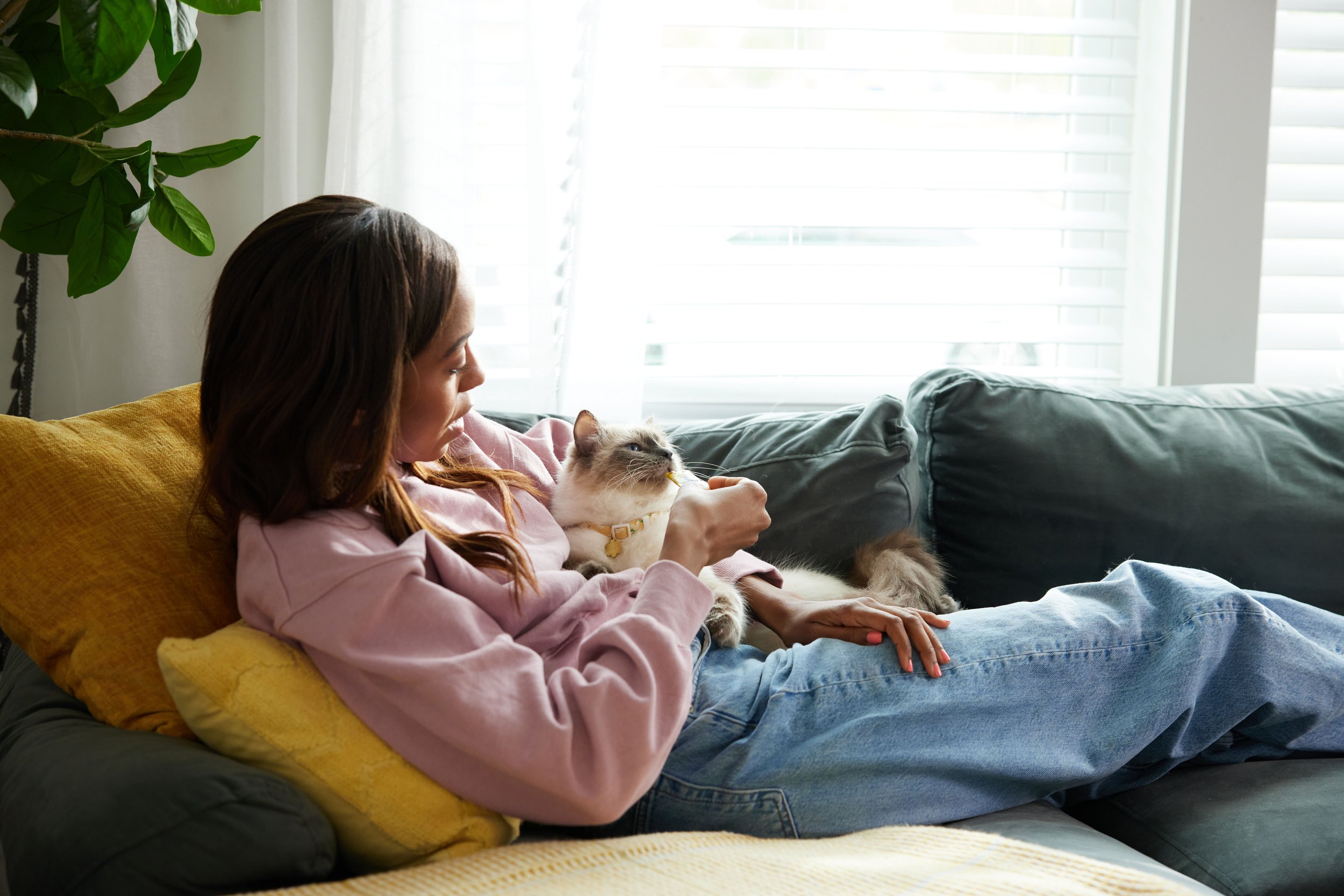 Mars _Temptations_Livingroom_PureeTreats__0938.jpg