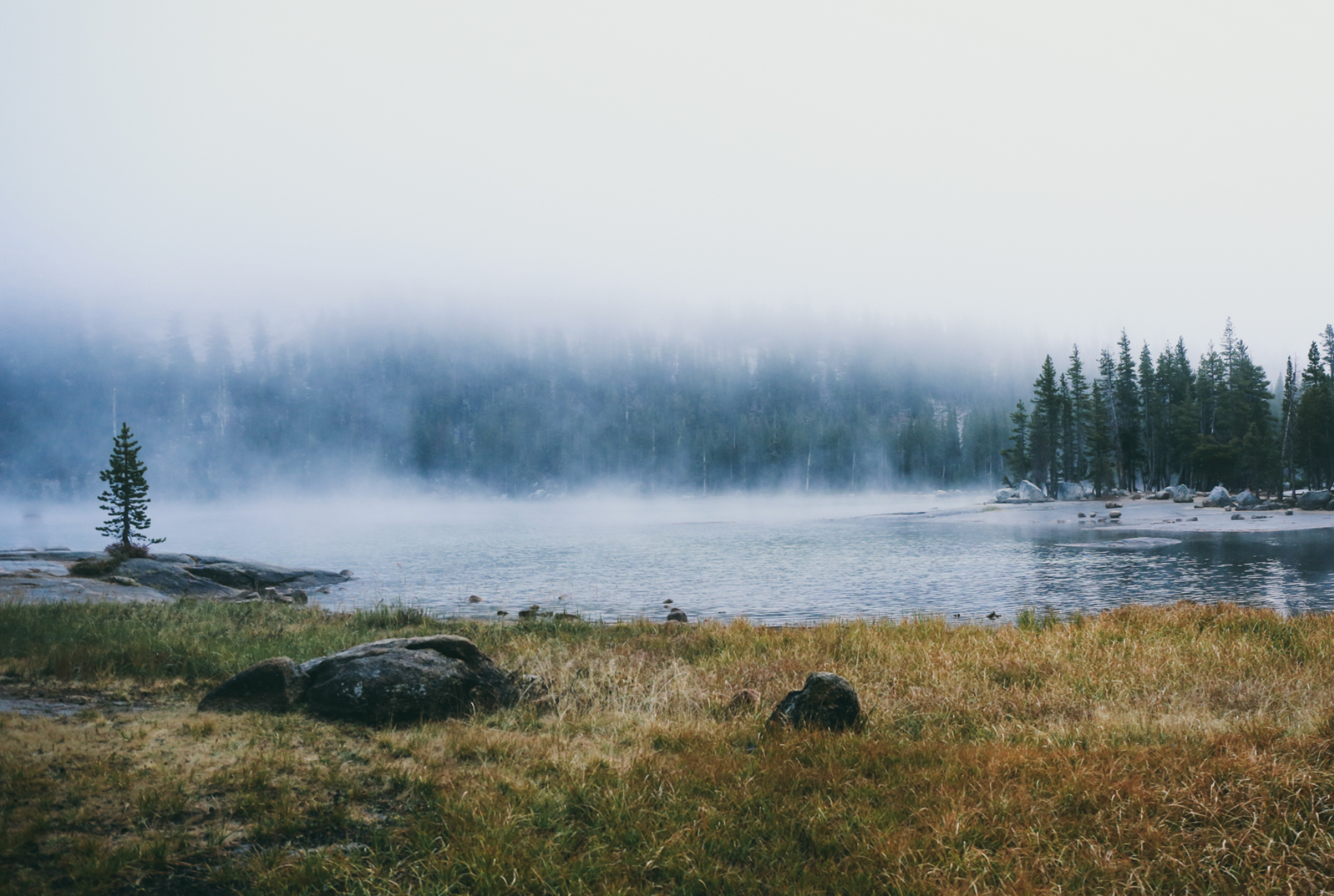 Screen Shot 2017-12-20 at 16.18.55.png