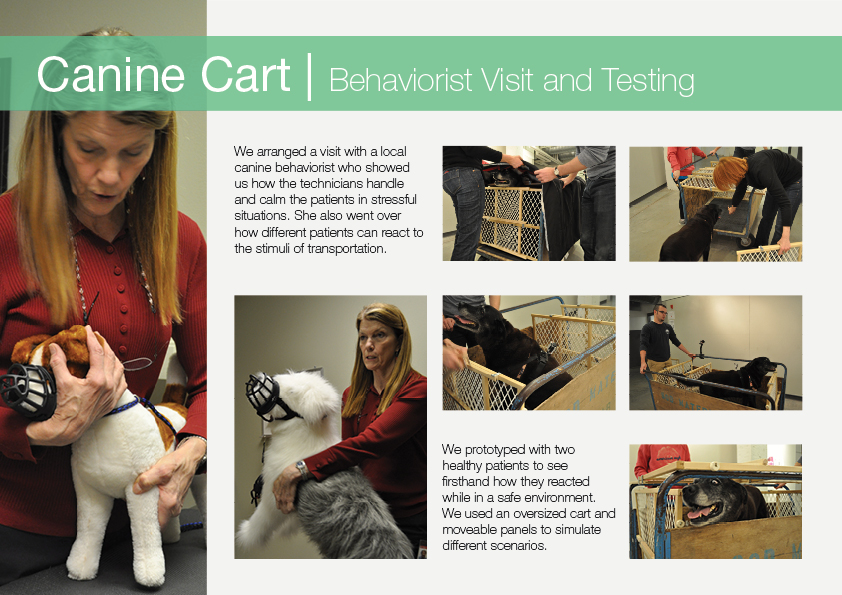 Veterinary Medicine Project V13.jpg